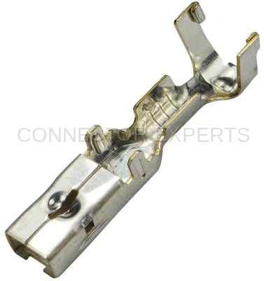 Connector Experts - Normal Order - TERM784C