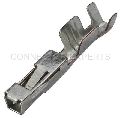 Connector Experts - Normal Order - TERM771A2