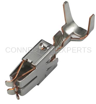 Connector Experts - Normal Order - TERM252B