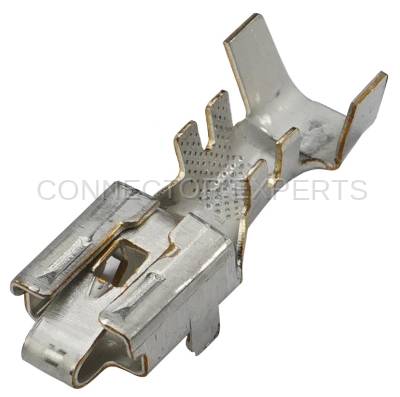 Connector Experts - Normal Order - TERM2113A