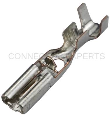 Connector Experts - Normal Order - TERM2131A