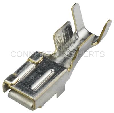 Connector Experts - Normal Order - TERM1116C