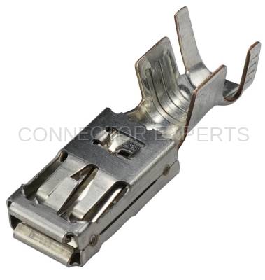 Connector Experts - Normal Order - TERM153C