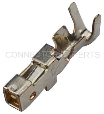 Connector Experts - Normal Order - TERM2179A