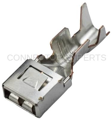 Connector Experts - Normal Order - TERM1031A