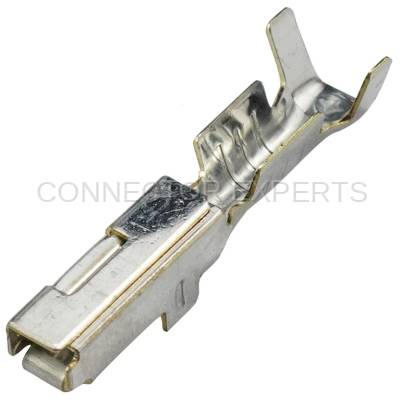 Connector Experts - Normal Order - TERM189M