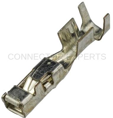 Connector Experts - Normal Order - TERM1A1