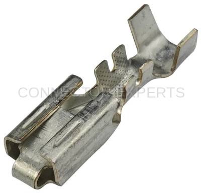 Connector Experts - Normal Order - TERM16B