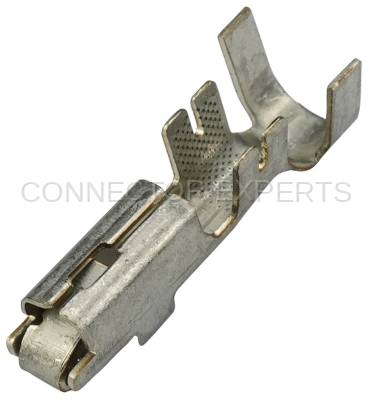 Connector Experts - Normal Order - TERM4B