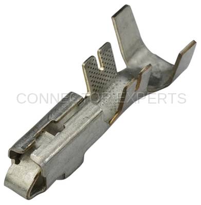 Connector Experts - Normal Order - TERM4D