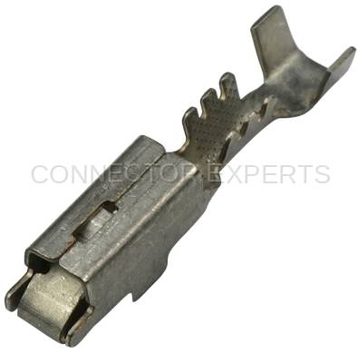 Connector Experts - Normal Order - TERM4J