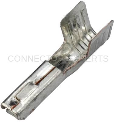 Connector Experts - Normal Order - TERM36