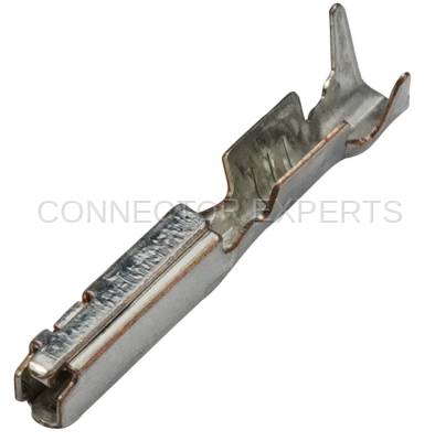 Connector Experts - Normal Order - TERM193