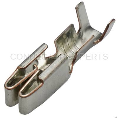 Connector Experts - Normal Order - TERM197