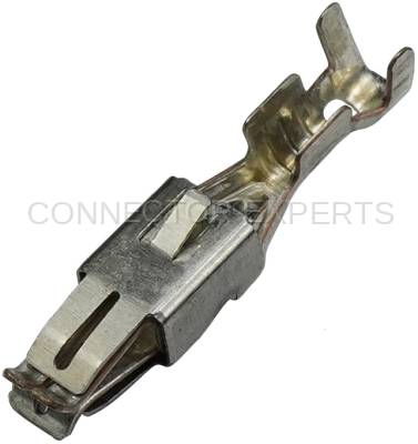 Connector Experts - Normal Order - TERM166B