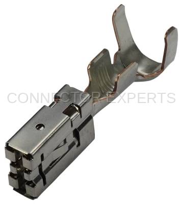 Connector Experts - Normal Order - TERM170A