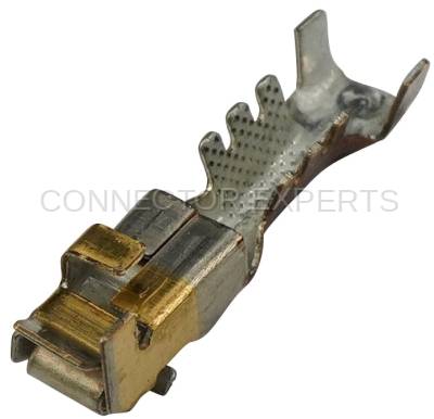 Connector Experts - Normal Order - TERM12B