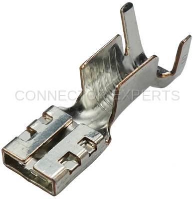 Connector Experts - Normal Order - TERM339A