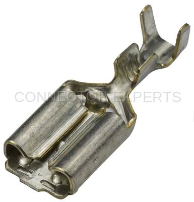 Connector Experts - Normal Order - TERM423