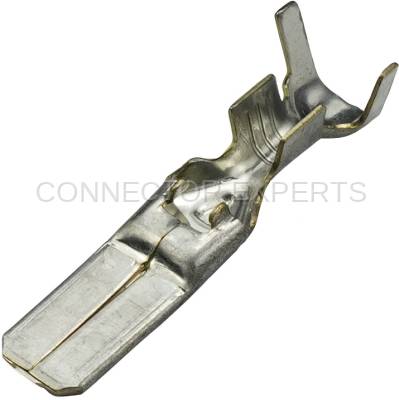 Connector Experts - Normal Order - TERM504A