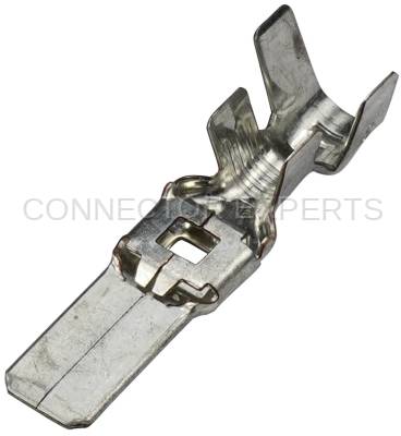 Connector Experts - Normal Order - TERM385