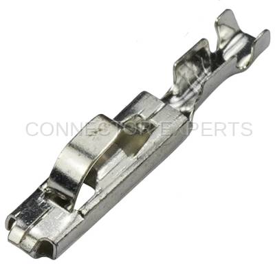 Connector Experts - Normal Order - TERM717