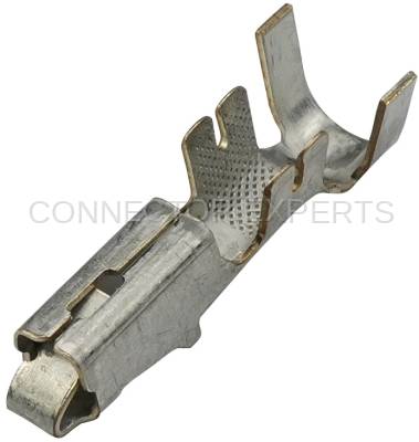 Connector Experts - Normal Order - TERM8B