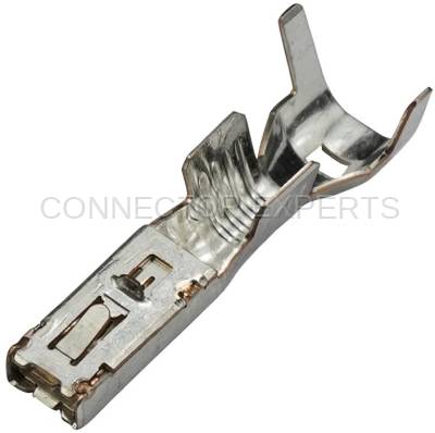 Connector Experts - Normal Order - TERM183B