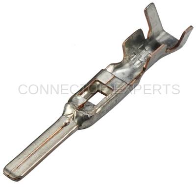 Connector Experts - Normal Order - TERM123B