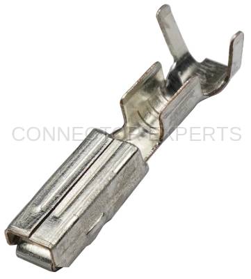 Connector Experts - Normal Order - TERM80B