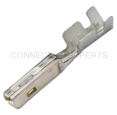 Connector Experts - Normal Order - TERM42A