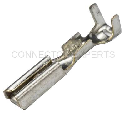 Connector Experts - Normal Order - TERM185