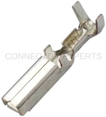 Connector Experts - Normal Order - TERM336