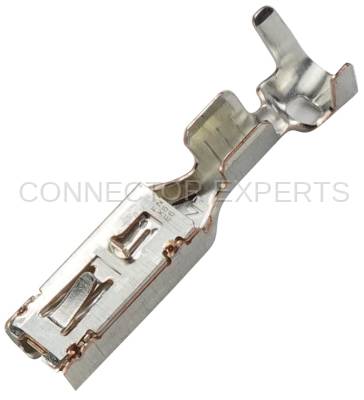 Connector Experts - Normal Order - TERM183C