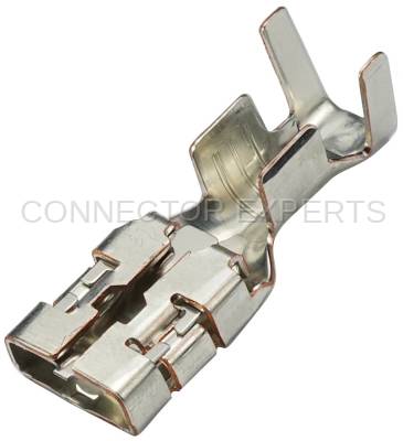 Connector Experts - Normal Order - TERM195