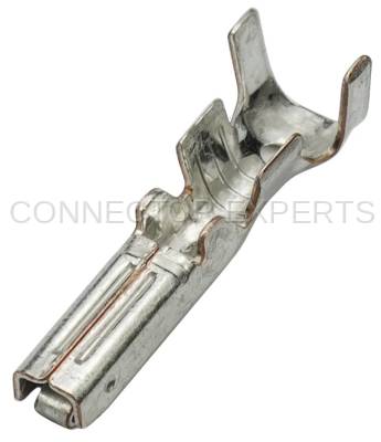 Connector Experts - Normal Order - C-TERM84A