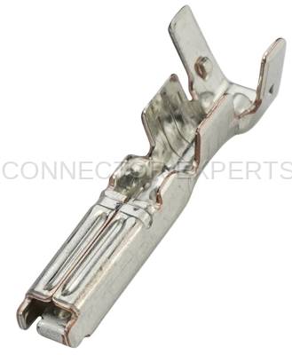 Connector Experts - Normal Order - C-TERM83B