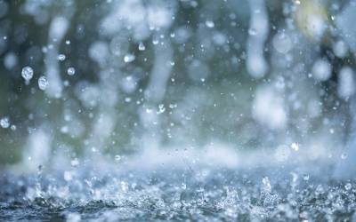 How Weather Exposure Damages Vehicle Electrical Connectors