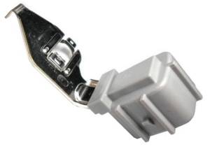 Misc Connectors - 6 Cavities - Connector Experts - Normal Order - Ground Junction Connector