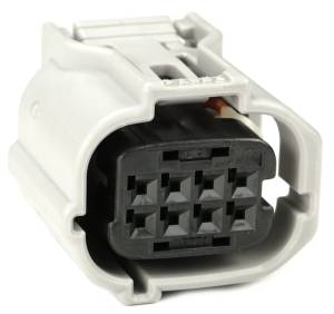 Connectors - 8 Cavities - Connector Experts - Normal Order - CE8010F