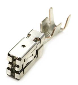 Connector Experts - Normal Order - TERM170B - Image 1