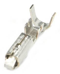 Connector Experts - Normal Order - TERM8G - Image 1