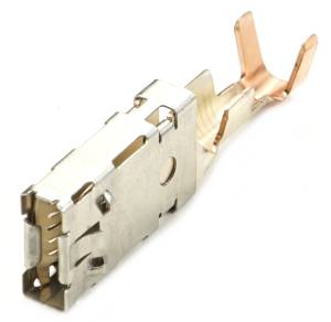 Connector Experts - Normal Order - TERM437 - Image 1