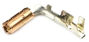 Connector Experts - Normal Order - TERM439B - Image 1