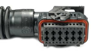 Connector Experts - Special Order  - CET3411 - Image 2
