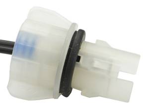 Connector Experts - Normal Order - Turn Signal - Front - Image 3