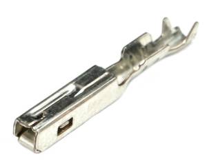 Terminals - Connector Experts - Normal Order - TERM42F