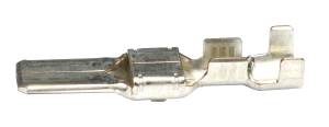 Connector Experts - Normal Order - TERM500 - Image 2