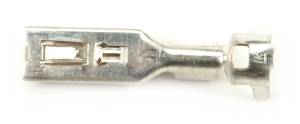 Connector Experts - Normal Order - TERM183C - Image 4
