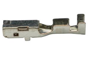 Connector Experts - Normal Order - TERM384E - Image 2